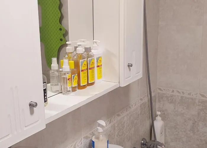 Estudio Paloma * Leon